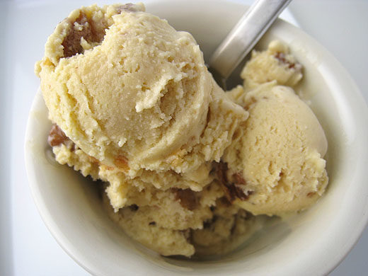 Ninja Creami Maple Walnut Ice Cream Recipe