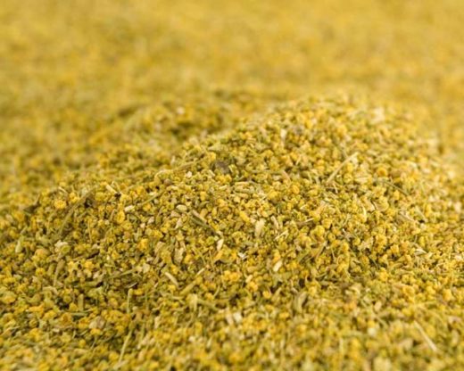 fennel-pollen